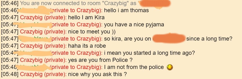 A chat with a rude cammodel